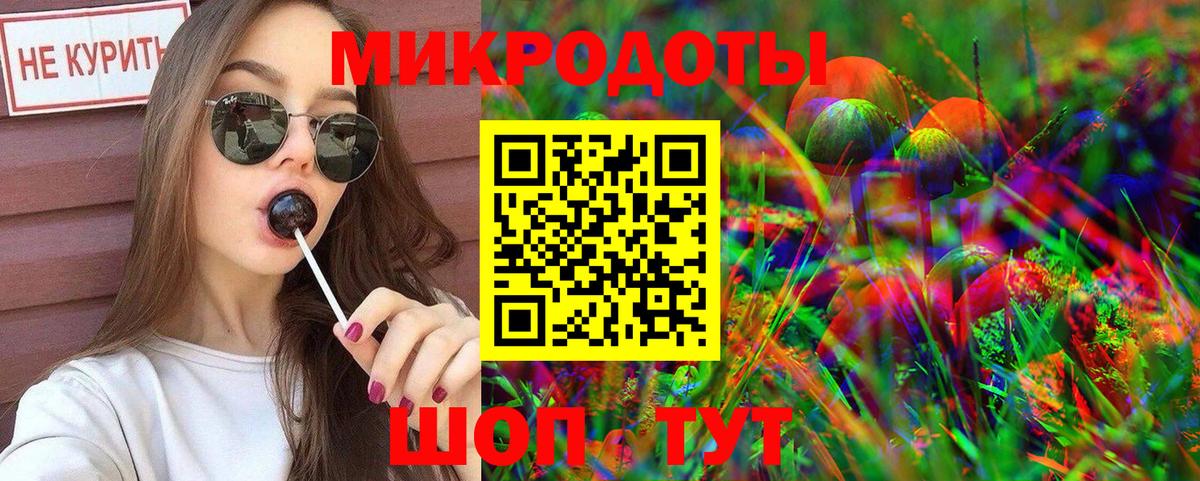 Галлюциногенные грибы Psilocybe Балтийск