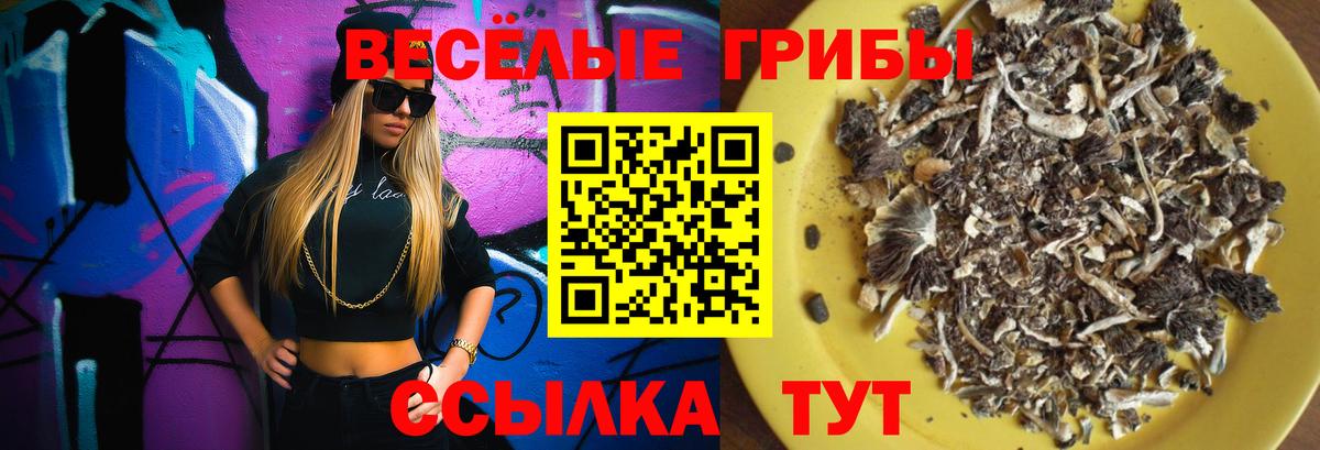 Псилоцибиновые грибы ЛСД  Вход с VPN  Балтийск 
