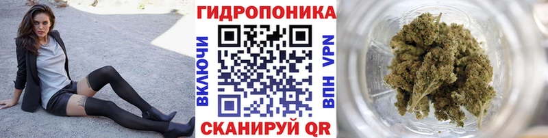 где продают наркотики  сайты даркнета как зайти  Шишки марихуана White Widow  Балтийск 